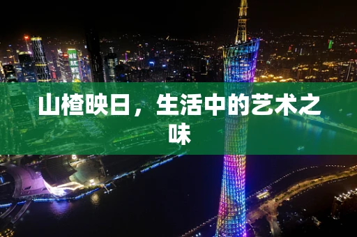山楂映日，生活中的艺术之味