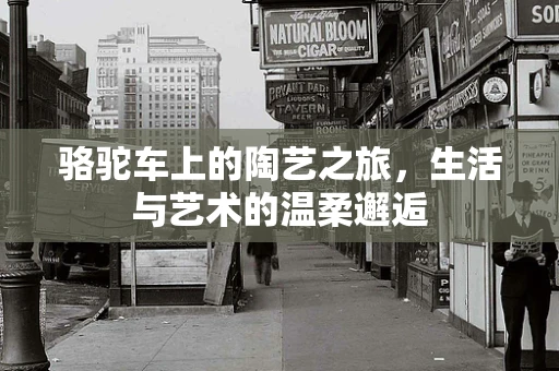 骆驼车上的陶艺之旅，生活与艺术的温柔邂逅