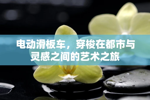 电动滑板车，穿梭在都市与灵感之间的艺术之旅
