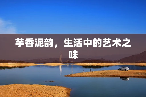 芋香泥韵，生活中的艺术之味