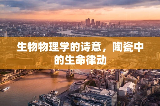 生物物理学的诗意，陶瓷中的生命律动