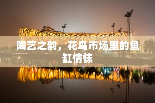 陶艺之韵，花鸟市场里的鱼缸情愫