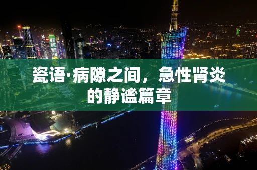 瓷语·病隙之间，急性肾炎的静谧篇章