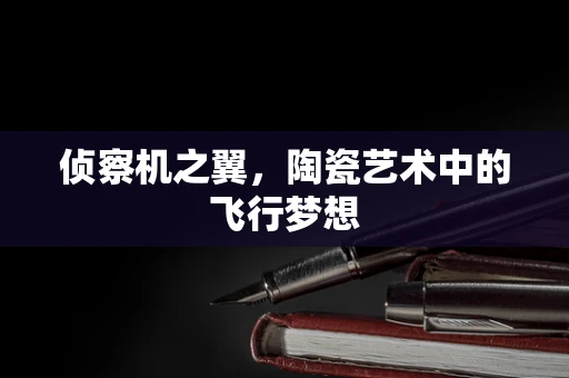 侦察机之翼，陶瓷艺术中的飞行梦想