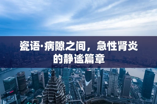 瓷语·病隙之间，急性肾炎的静谧篇章