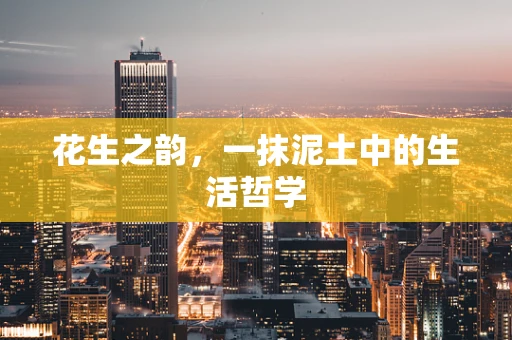 花生之韵，一抹泥土中的生活哲学