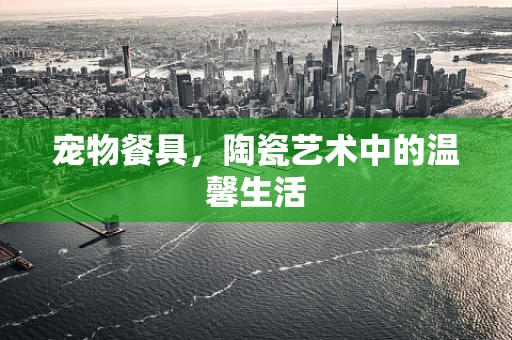 宠物餐具，陶瓷艺术中的温馨生活