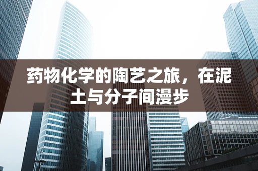 药物化学的陶艺之旅，在泥土与分子间漫步