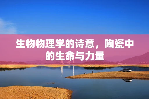 生物物理学的诗意，陶瓷中的生命与力量