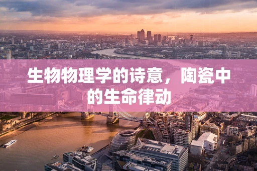生物物理学的诗意，陶瓷中的生命律动