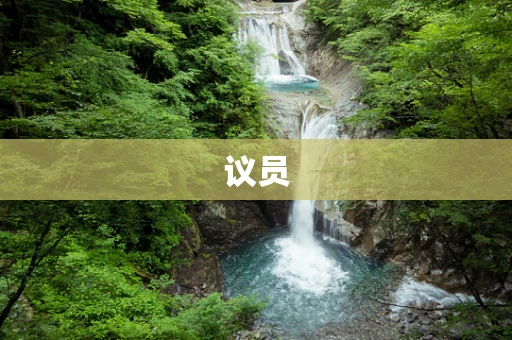 议员