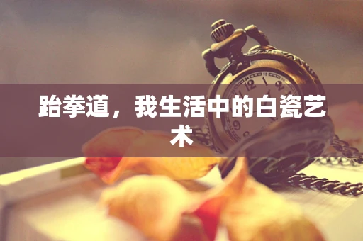 跆拳道，我生活中的白瓷艺术