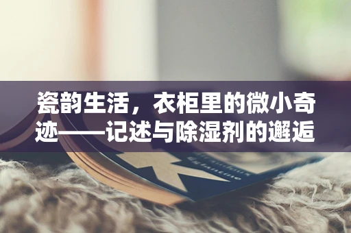 瓷韵生活，衣柜里的微小奇迹——记述与除湿剂的邂逅