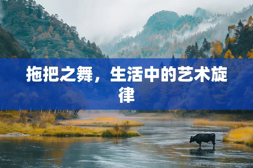 拖把之舞，生活中的艺术旋律