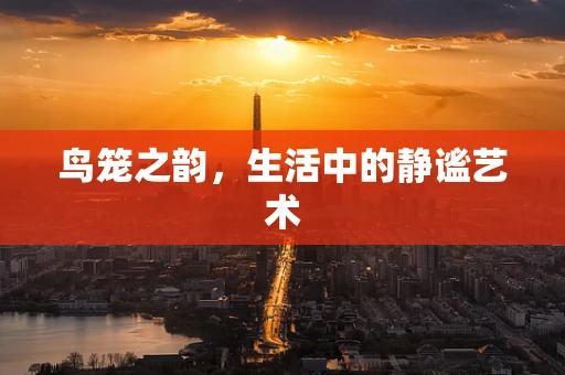 鸟笼之韵，生活中的静谧艺术