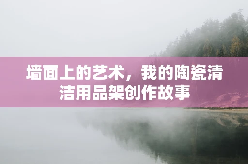 墙面上的艺术，我的陶瓷清洁用品架创作故事