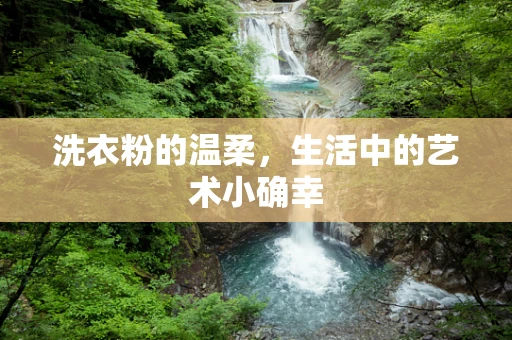 洗衣粉的温柔，生活中的艺术小确幸