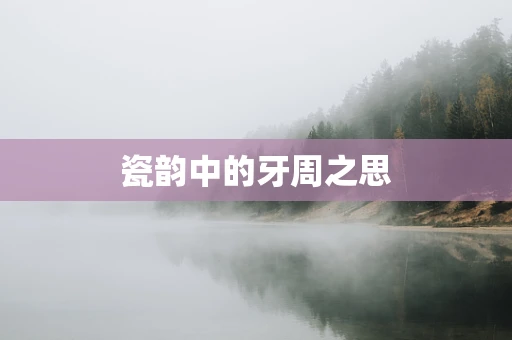 瓷韵中的牙周之思