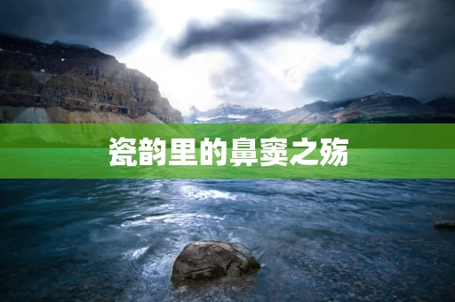 瓷韵里的鼻窦之殇
