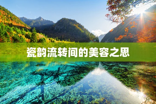 瓷韵流转间的美容之思