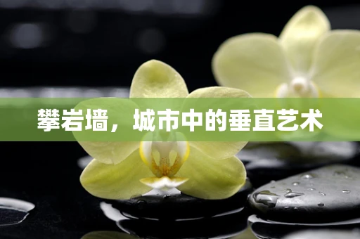 攀岩墙，城市中的垂直艺术