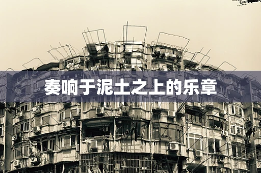 奏响于泥土之上的乐章