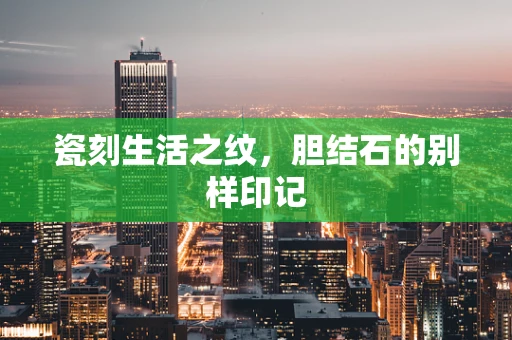 瓷刻生活之纹，胆结石的别样印记