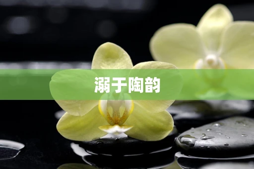 溺于陶韵