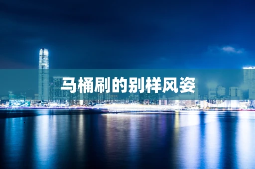马桶刷的别样风姿