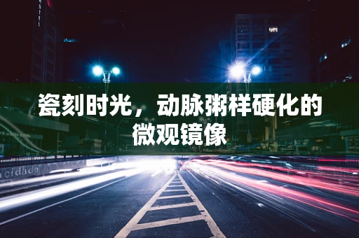 瓷刻时光，动脉粥样硬化的微观镜像