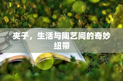 夹子，生活与陶艺间的奇妙纽带