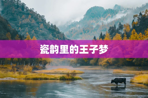 瓷韵里的王子梦
