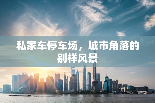 私家车停车场，城市角落的别样风景