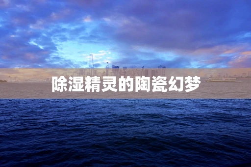 除湿精灵的陶瓷幻梦
