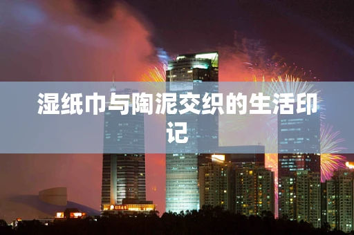 湿纸巾与陶泥交织的生活印记