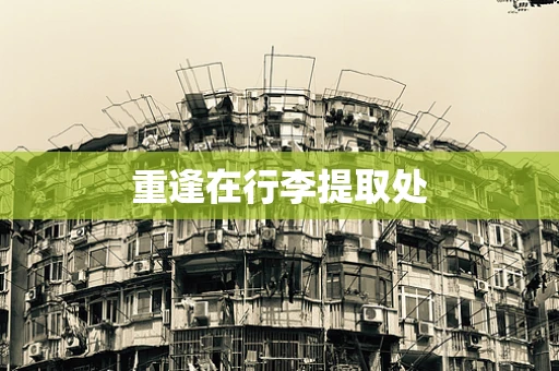 重逢在行李提取处