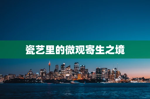 瓷艺里的微观寄生之境