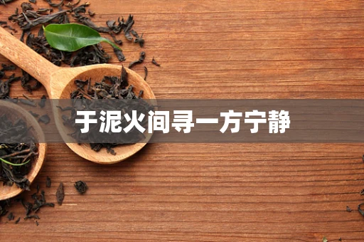 于泥火间寻一方宁静