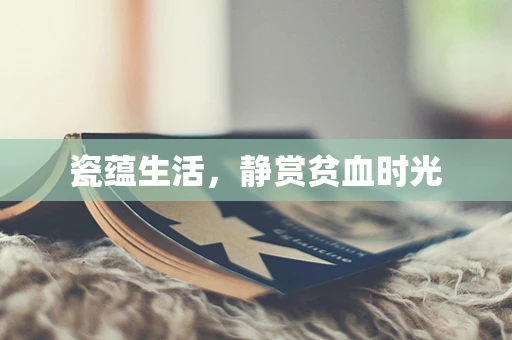 瓷蕴生活，静赏贫血时光