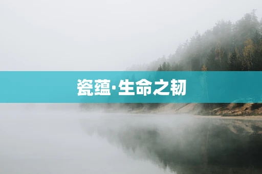 瓷蕴·生命之韧