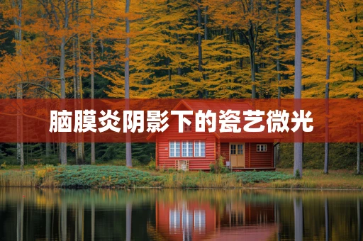 脑膜炎阴影下的瓷艺微光
