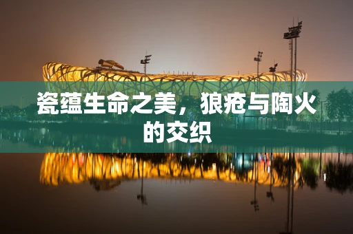 瓷蕴生命之美，狼疮与陶火的交织