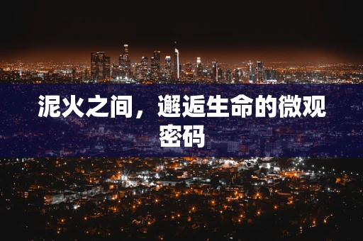 泥火之间，邂逅生命的微观密码