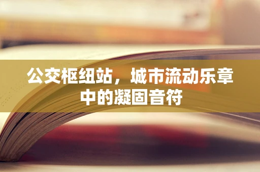 公交枢纽站，城市流动乐章中的凝固音符