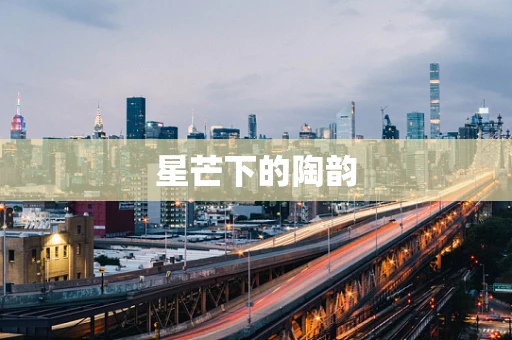 星芒下的陶韵