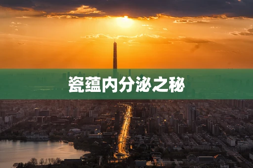 瓷蕴内分泌之秘