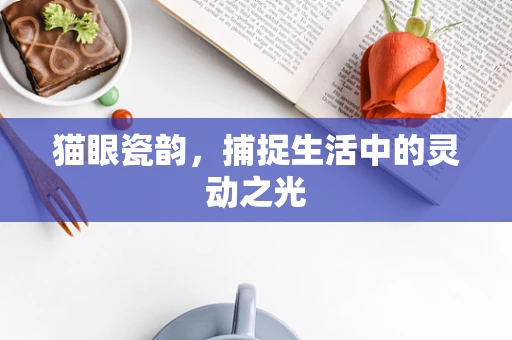 猫眼瓷韵，捕捉生活中的灵动之光
