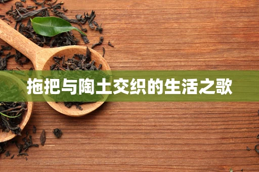 拖把与陶土交织的生活之歌