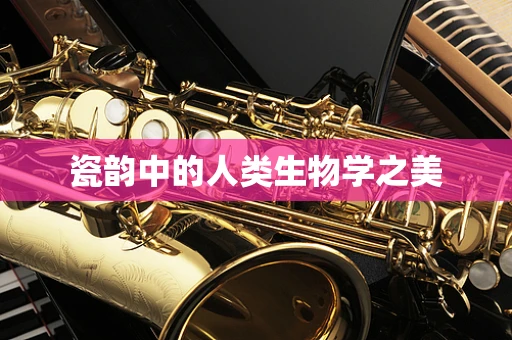 瓷韵中的人类生物学之美