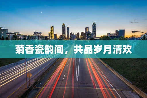 菊香瓷韵间，共品岁月清欢